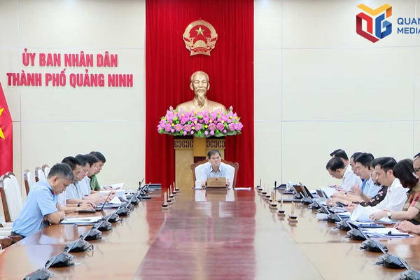 TP Quảng Ninh: Tỷ lệ giải quyết khiếu nại đến hạn đạt 95%