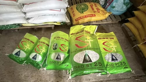 Khởi tố hình sự vụ thu mua gạo rồi đóng gói nhãn hiệu ST25 Khởi tố hình sự vụ thu mua gạo rồi đóng gói nhãn hiệu ST25