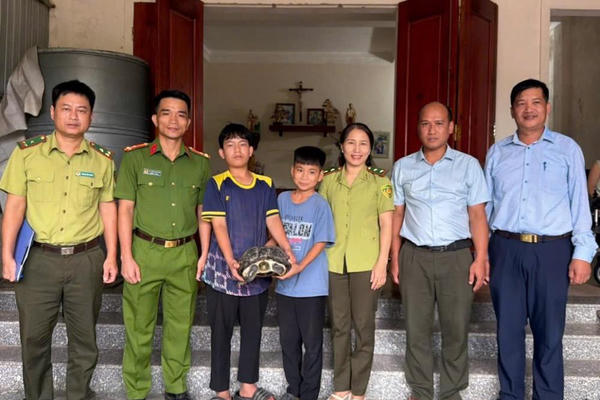 Hai học sinh tại Hà Tĩnh tự nguyện giao nộp cá thể rùa quý hiếm nặng 9 kg