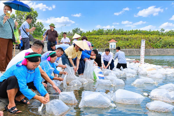 Nông nghiệp và môi trường TP Quảng Ninh: khai thác tiềm năng, mở dư địa tăng trưởng