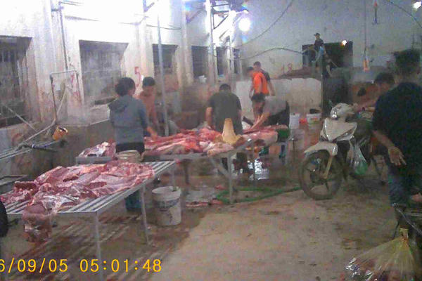 Thâm nhập những lò mổ không đủ tiêu chuẩn, vẫn “hành dân” ở Tuyên Quang Thâm nhập những lò mổ không đủ tiêu chuẩn, vẫn “hành dân” ở Tuyên Quang