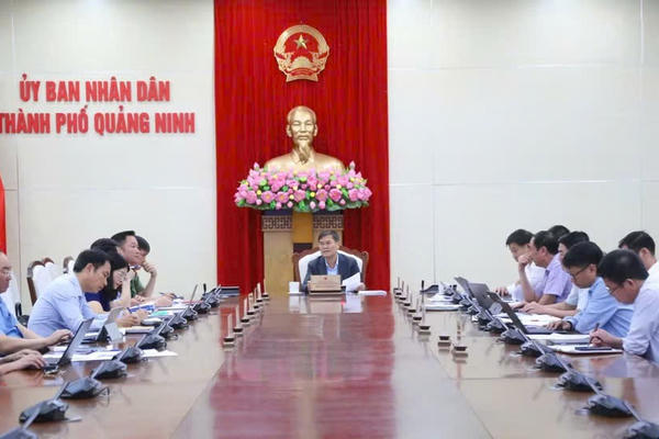 Quảng Ninh yêu cầu xử lý dứt điểm vướng mắc trong quản lý đất đai