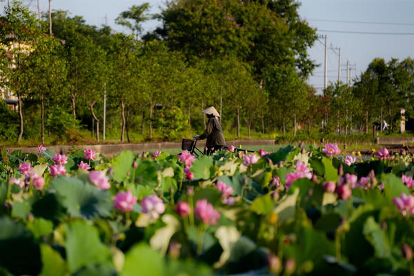 Bộ Nông nghiệp và Môi trường phát động Hội thi Điểm đến du lịch nông thôn Việt Nam tốt nhất năm 2026
Bộ Nông nghiệp và Môi trường phát động Hội thi Điểm đến du lịch nông thôn Việt Nam tốt nhất năm 2026