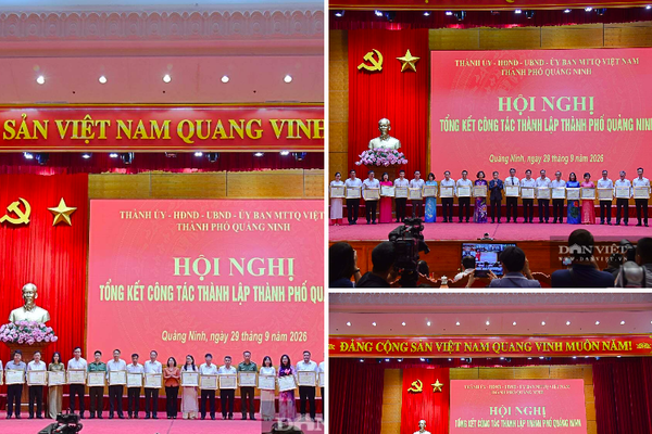Quảng Ninh đặt bài toán đổi mới bộ máy quản trị để bứt phá
