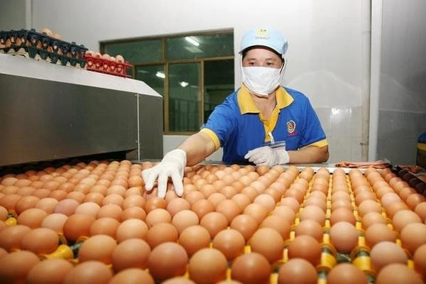 BIDV rao bán khoản nợ hơn 624 tỷ đồng của Ba Huân và doanh nghiệp thành viên