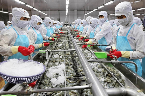 8 “điểm nghẽn” thuế cần tháo gỡ cho doanh nghiệp thủy sản