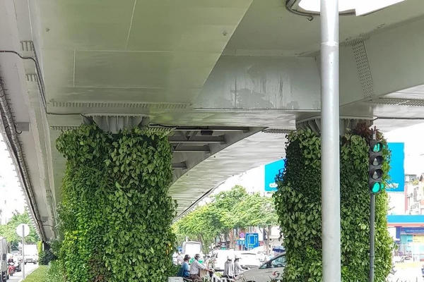 Hà Nội thử nghiệm phủ xanh trụ cầu, hầm chui, nhà chờ xe buýt Hà Nội thử nghiệm phủ xanh trụ cầu, hầm chui, nhà chờ xe buýt