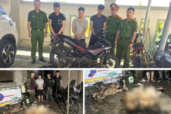 Khởi tố nhóm đối tượng trộm chó trên địa bàn Hà Tĩnh