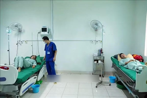 4 người ở Lai Châu bị ngộ độc do ăn nấm lạ 4 người ở Lai Châu bị ngộ độc do ăn nấm lạ