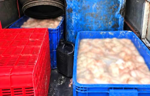 Phát hiện ô tô chở hơn 800kg lòng lợn bốc mùi hôi thối Phát hiện ô tô chở hơn 800kg lòng lợn bốc mùi hôi thối
