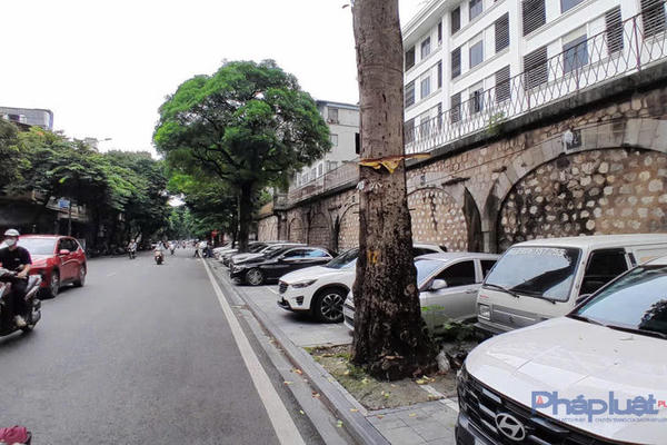 Hà Nội ban hành giá dịch vụ trông giữ xe đạp, xe máy, xe ô tô