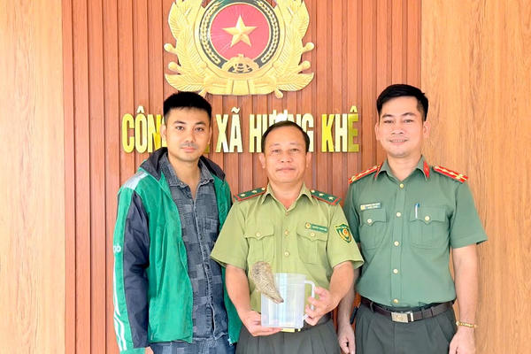 Người dân Hà Tĩnh tự nguyện giao nộp cá thể tê tê Java quý hiếm