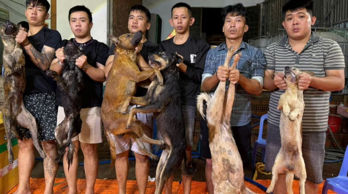 Từ “công xưởng” trộm chó bằng ô tô, lần ra đường dây tiêu thụ hơn 10 tấn thịt liên tỉnh