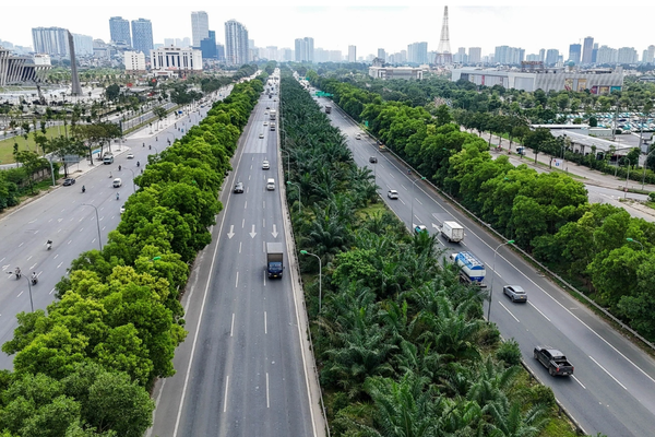 Hà Nội đưa 18 loài cây vào danh mục cấm trồng nơi công cộng, có trúc đào và trứng cá
