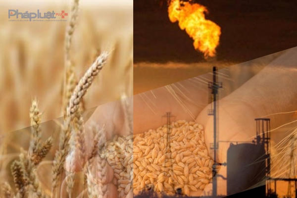 Sắc đỏ bao phủ thị trường hàng hóa, giá khí tự nhiên lao dốc gần 6%