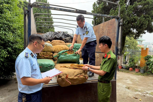 Phát hiện hơn 1,2 tấn thuốc lá nguyên liệu không rõ nguồn gốc tại Trùng Khánh