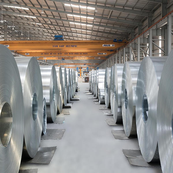 Ninh Bình nâng vốn dự án Nhà máy thép Xanh Xuân Thiện Nghĩa Hưng lên 21.000 tỷ đồng