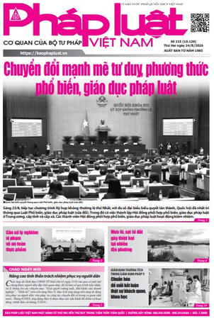Báo Pháp luật Việt Nam số 215