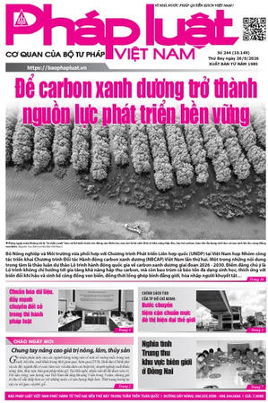 Báo Pháp luật Việt Nam số 244