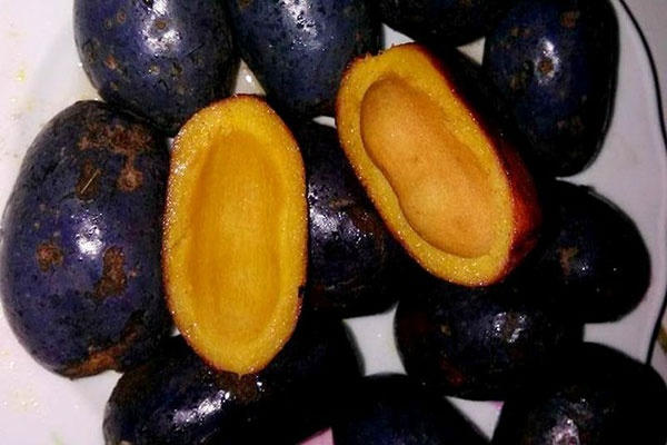 du lịch, phú thọ, đặc sản, đặc sản phú thọ, thịt chua, bánh chưng, cọ du lịch, phú thọ, đặc sản, đặc sản phú thọ, thịt chua, bánh chưng, cọ