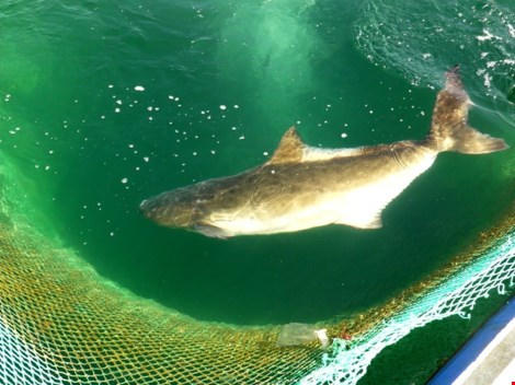 Ngắm cảnh đẹp tuyệt vời trên biển Đầm Môn