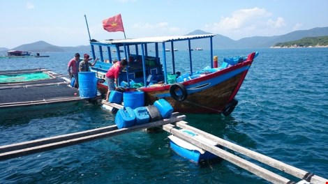 Ngắm cảnh đẹp tuyệt vời trên biển Đầm Môn