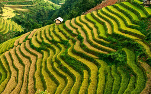 3 địa điểm tuyệt vời cho dân phượt dịp 2/9 - 6