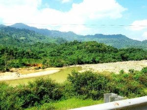 rung-tu-nhien-bang-ta