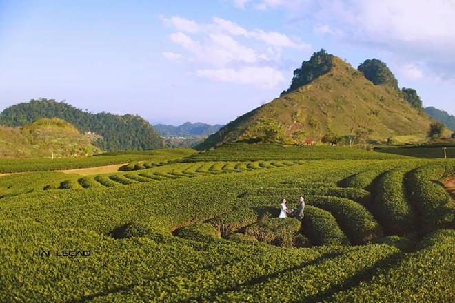 Nhung diem chup anh cuoi dep nhu mo o Viet Nam hinh anh 15