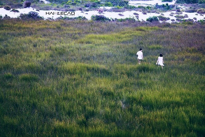 Nhung diem chup anh cuoi dep nhu mo o Viet Nam hinh anh 13