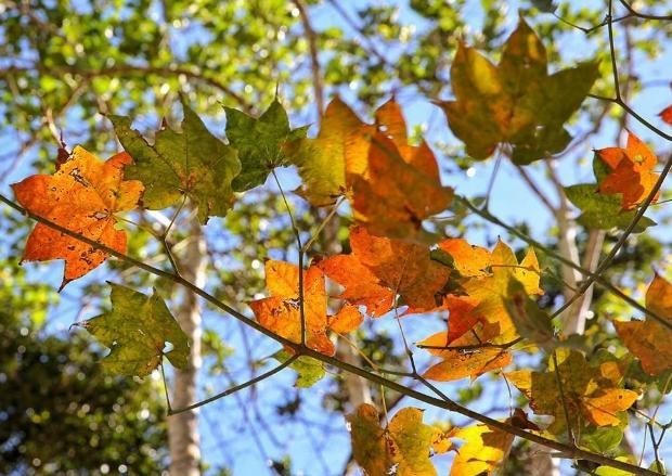 Nhung diem den tuyet dep trong thang 9 hinh anh 7