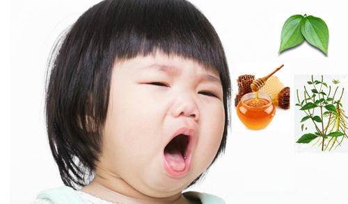 Kết quả hình ảnh cho Công dụng chữa bệnh của lá trầu không