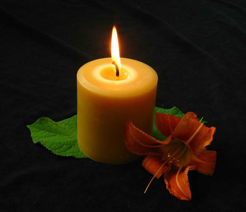 meo thai hanh khong cay mat - 2