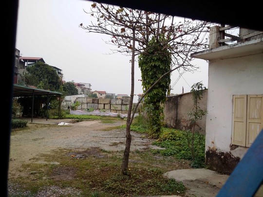 Nhìn từ cổng vào