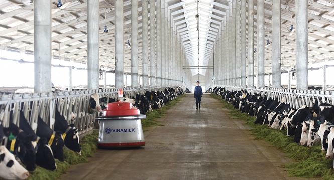 Vinamilk tiên phong giới thiệu sữa tươi 100% A2 đầu tiên tại Việt Nam - ảnh 2