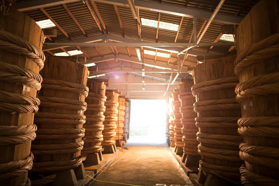 Kết quả hình ảnh cho du lich phu quoc xuong san xuat nuoc mam