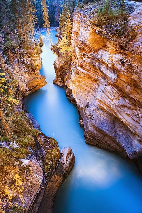 Kết quả hình ảnh cho Thác Athabasca, Alberta, Canada