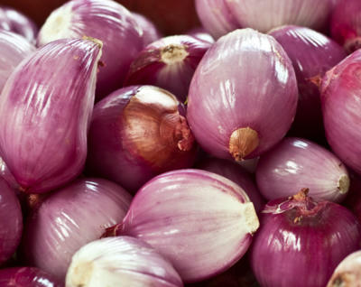 Kết quả hình ảnh cho gia vị hành ta