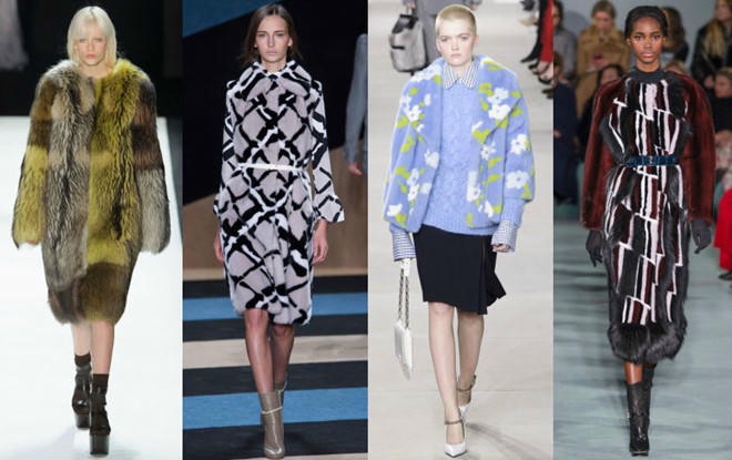 Hình ảnh có liên quan