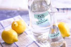 Kết quả hình ảnh cho giấm