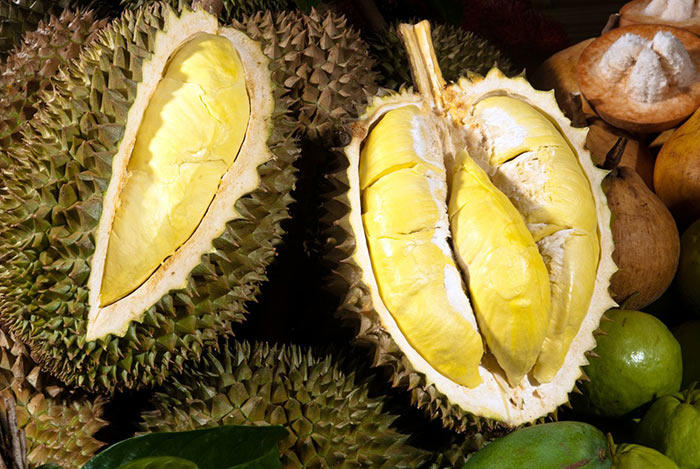 Kết quả hình ảnh cho Sầu riêng