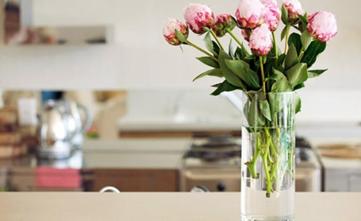 Hình ảnh có liên quan