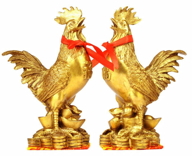 Kết quả hình ảnh cho con gà vàng
