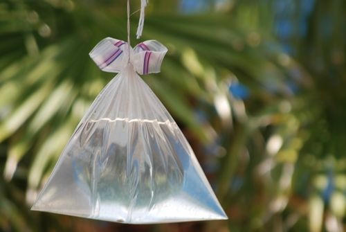 cách đuổi ruồi
