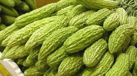 Kết quả hình ảnh cho KHỔ QUA