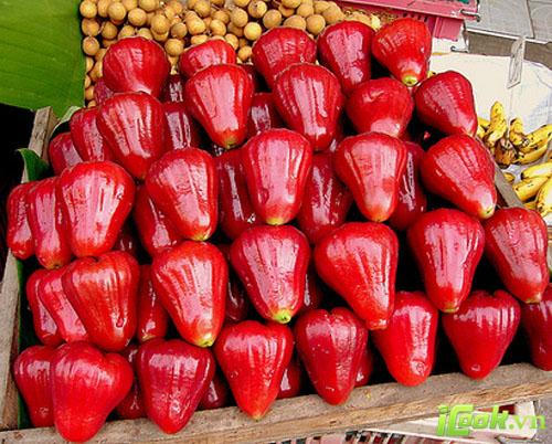 Hình ảnh có liên quan