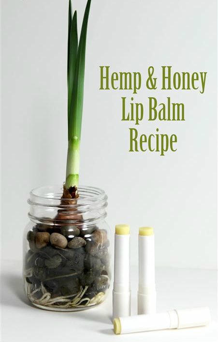 13 ý tưởng độc đáo thực hiện son dưỡng môi tại nhà ELLE VN