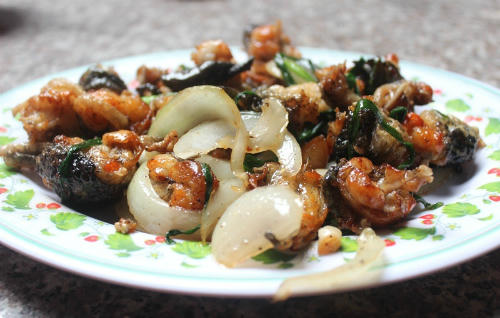 Kết quả hình ảnh cho ếch chiên nước mắm