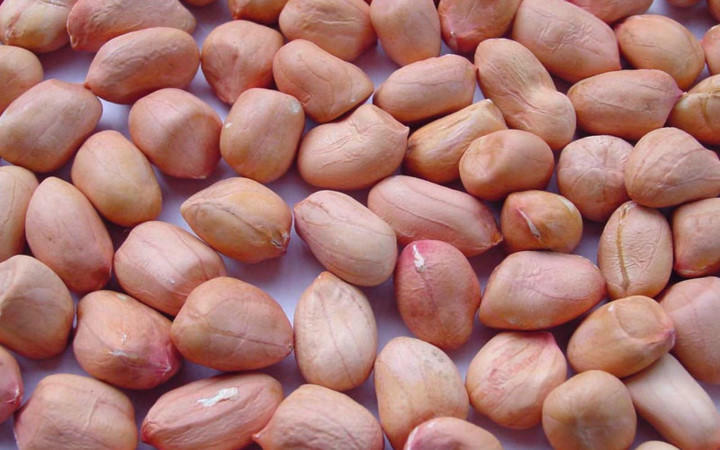 nhung loai thuc pham giau chat beo ban dung tu bo hinh 7