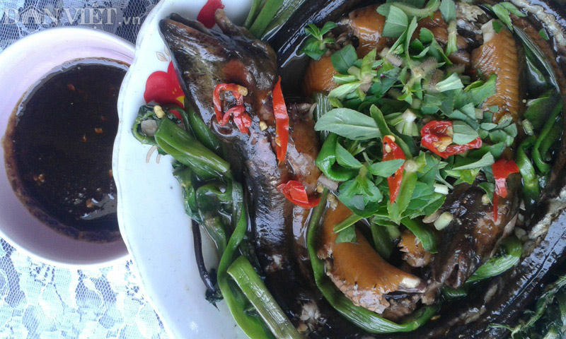 chuot dong chien xa ot va luon um rau ngo don tim du khach den ca mau hinh anh 2